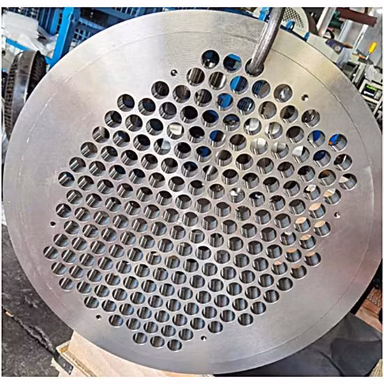OEM&ODM 티타늄 클래드 열교환기 배플 동관 시트